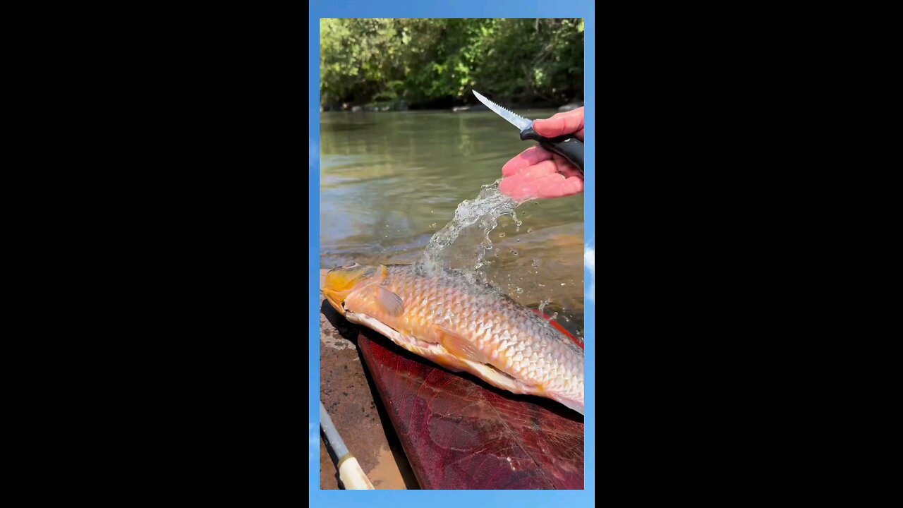 roasting fish on the riverbank
