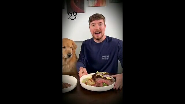 Feeding A Dog $1 and $10000 steark