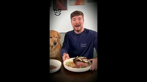 Feeding A Dog $1 and $10000 steark