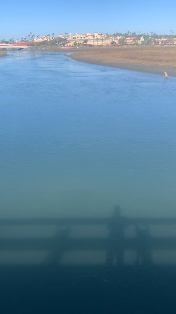 Nature is your Nutrience