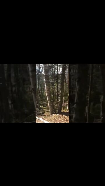 Bonshaw hills trails Prince Edward Island