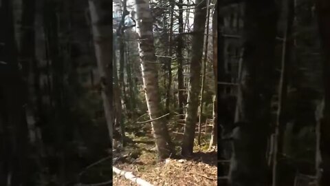 Bonshaw hills trails Prince Edward Island