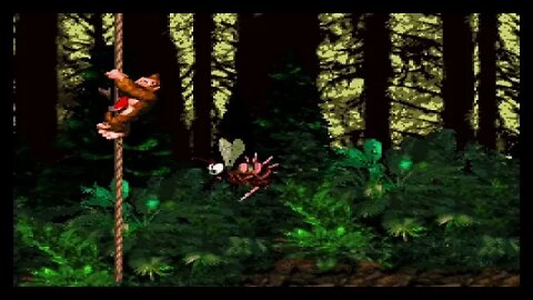 Donkey Kong Country 101% (Part 12)