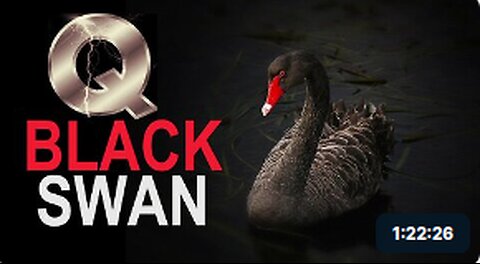 Gen Flynn: Black Swan Event Will Cancel 2024 Election! 10x Worse Than 9/11!