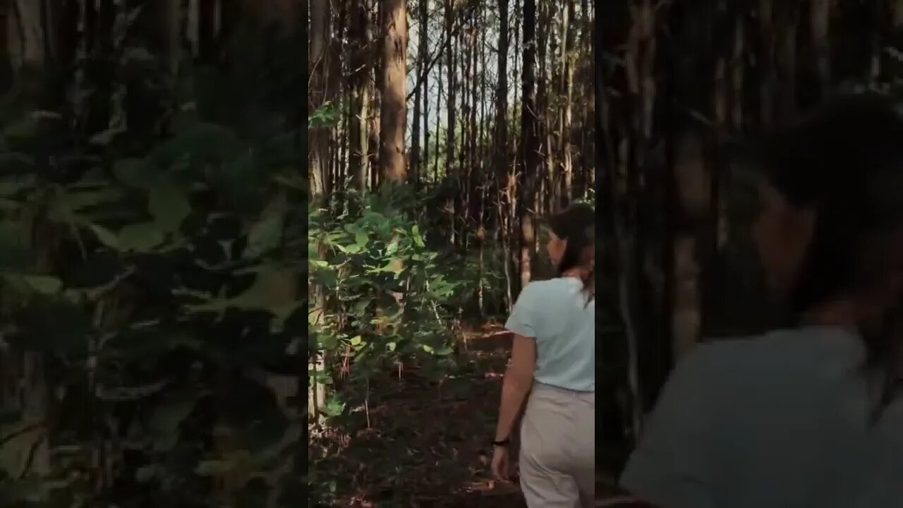 🔴 ¡Confiemos En Dios! 🔥 #SHORTS #YOUTUBESHORTS #inspiracion