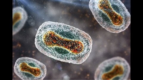 BREAKING: President Trump Warned Us! The WHO's Mpox Declaration Is the Start of a Global Takeover…