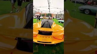 Lotus laranja!!