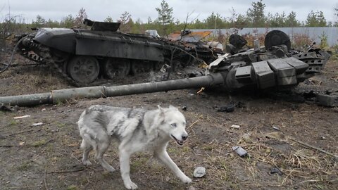 Ukrainian Forces Continue Resistance, Take Back Territory From Russia