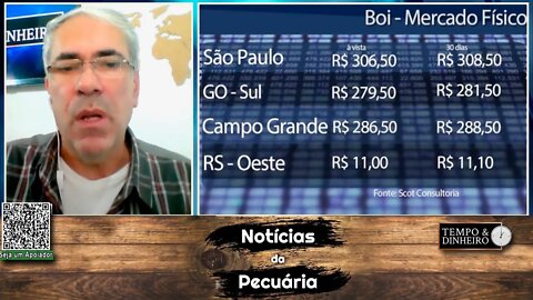 Boi gordo recua na referência de SP após 10 dias de estabilidade em maio