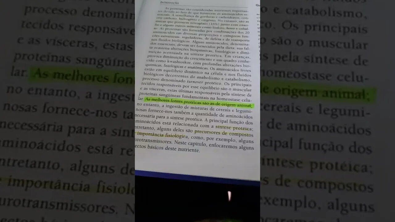 DEFINITIVAMENTE a MELHOR fonte de proteínas para os Cães!