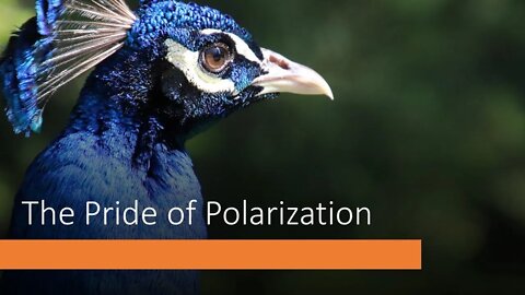 Pride of Polarization