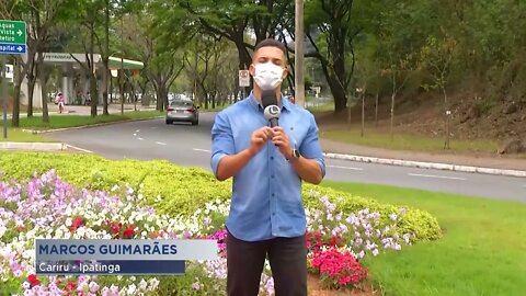 Flagrantes! Canteiros e jardins de Ipatinga alvos de furto