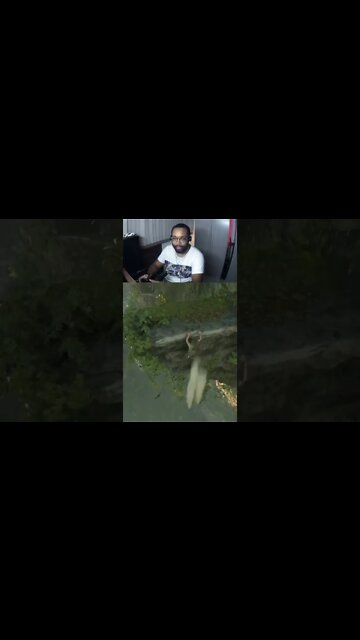 TEMOS QUE TER MAIS CUIDADO | SHADOW OF THE TOMB RAIDER #Shorts