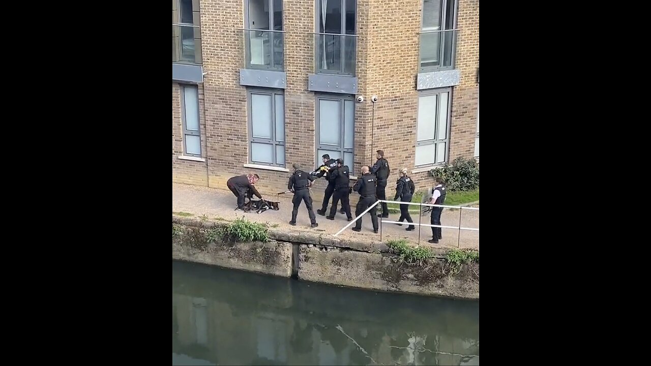 MET Police execute man’s 2 dogs Part 2