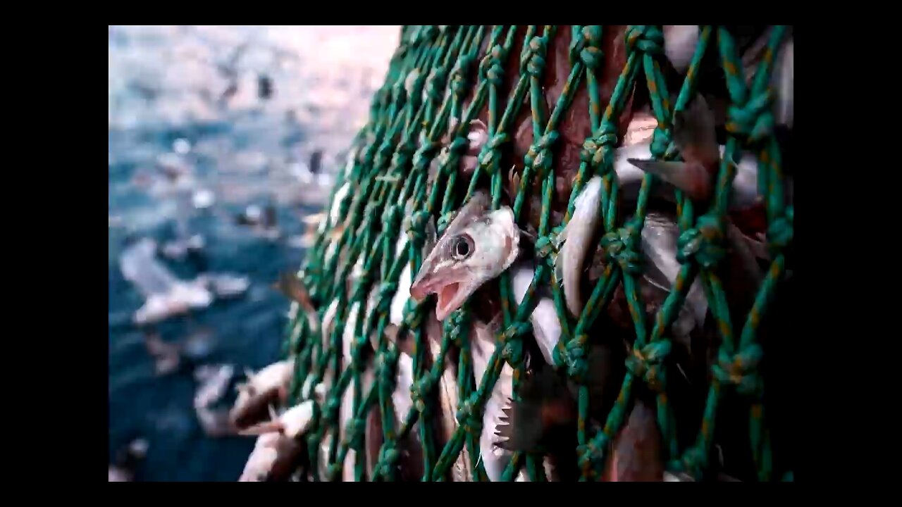 STEPS TO TAKE WHEN THE GREAT RESET ENTRAPS THE WORLD