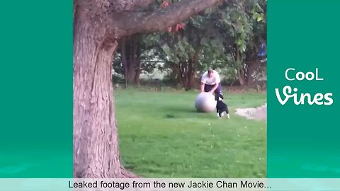 Dog playing football ⚽ funny video 😂😂😂