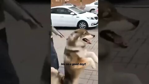 I suggest that you do daily walk like I do ! , # short