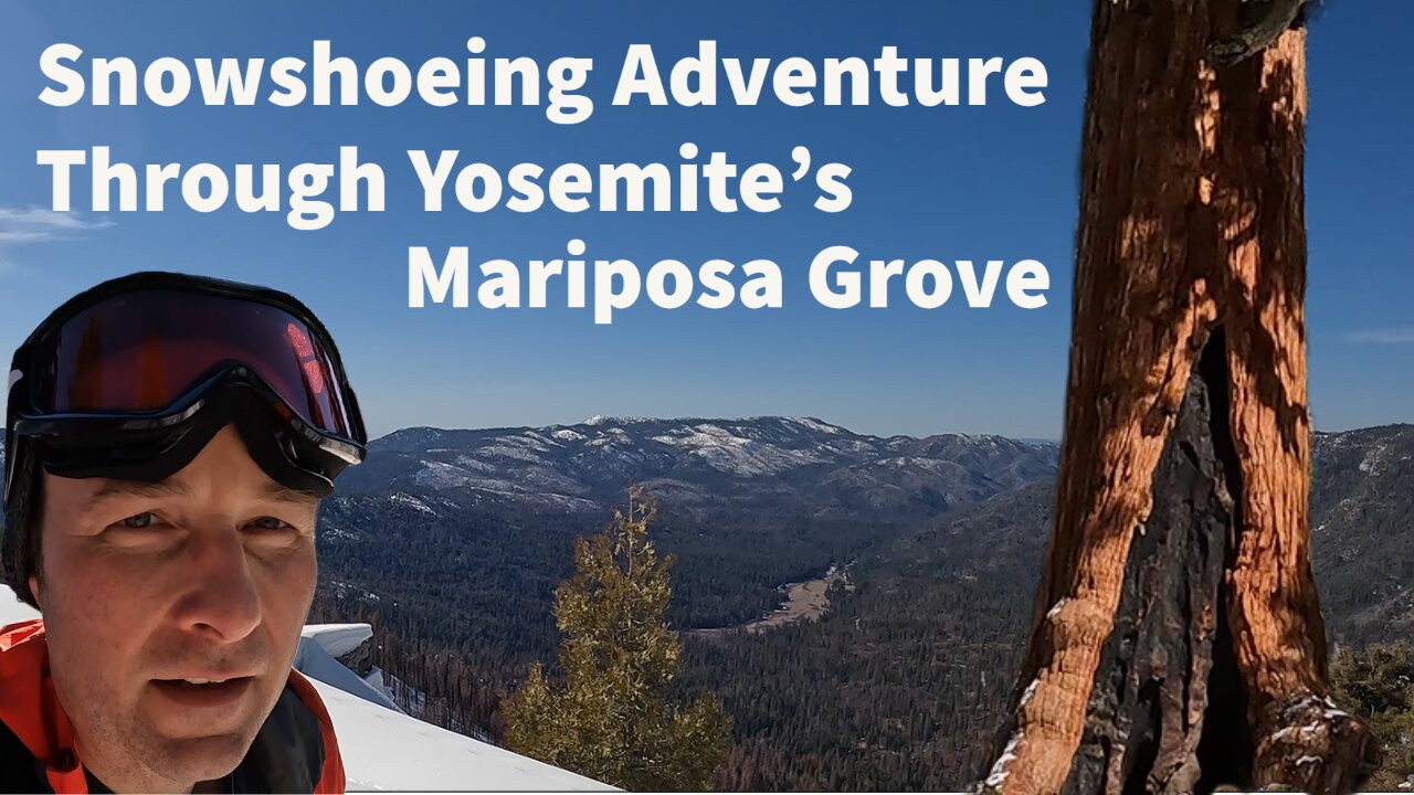 Yosemite Giant Sequoia Snowshoe Adventure!!