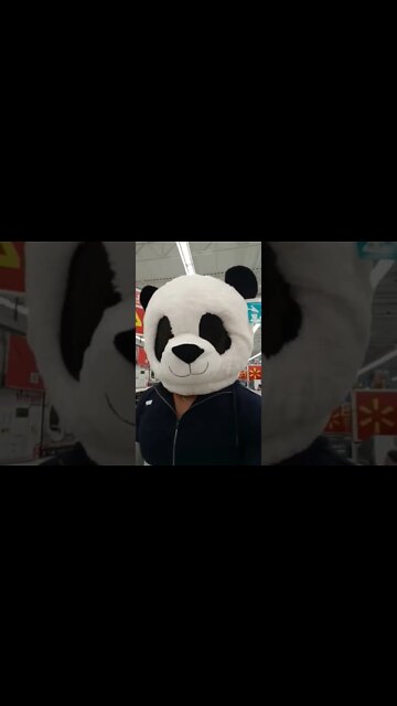 Panda man goes grocery shopping