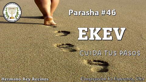 Parasha #46 Ekev