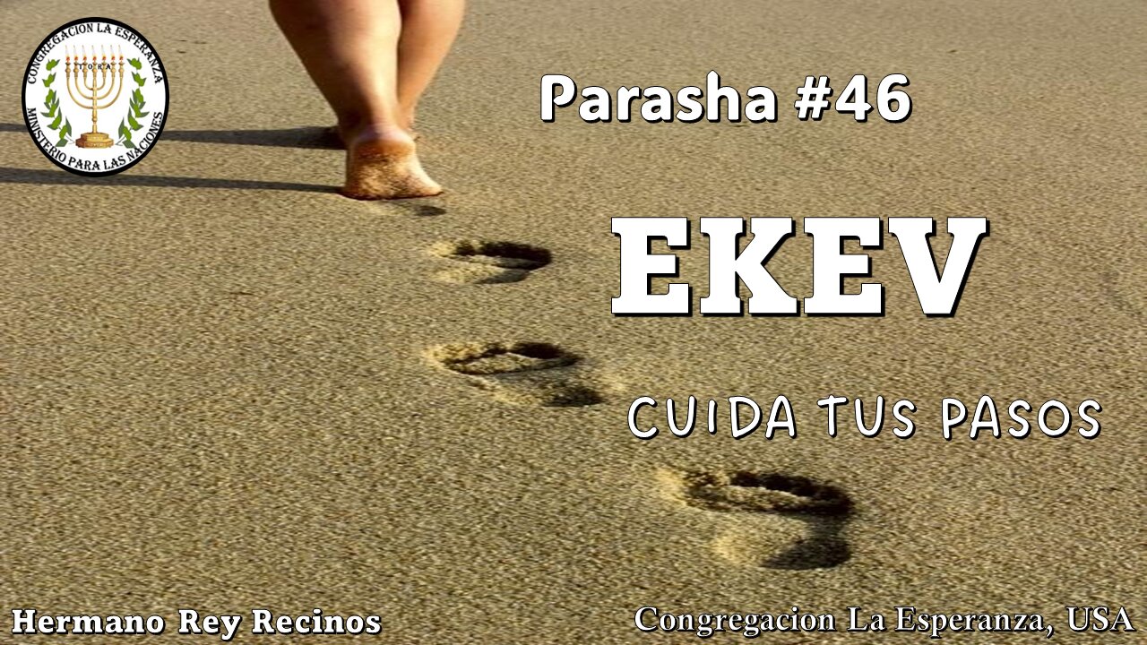 Parasha #46 Ekev