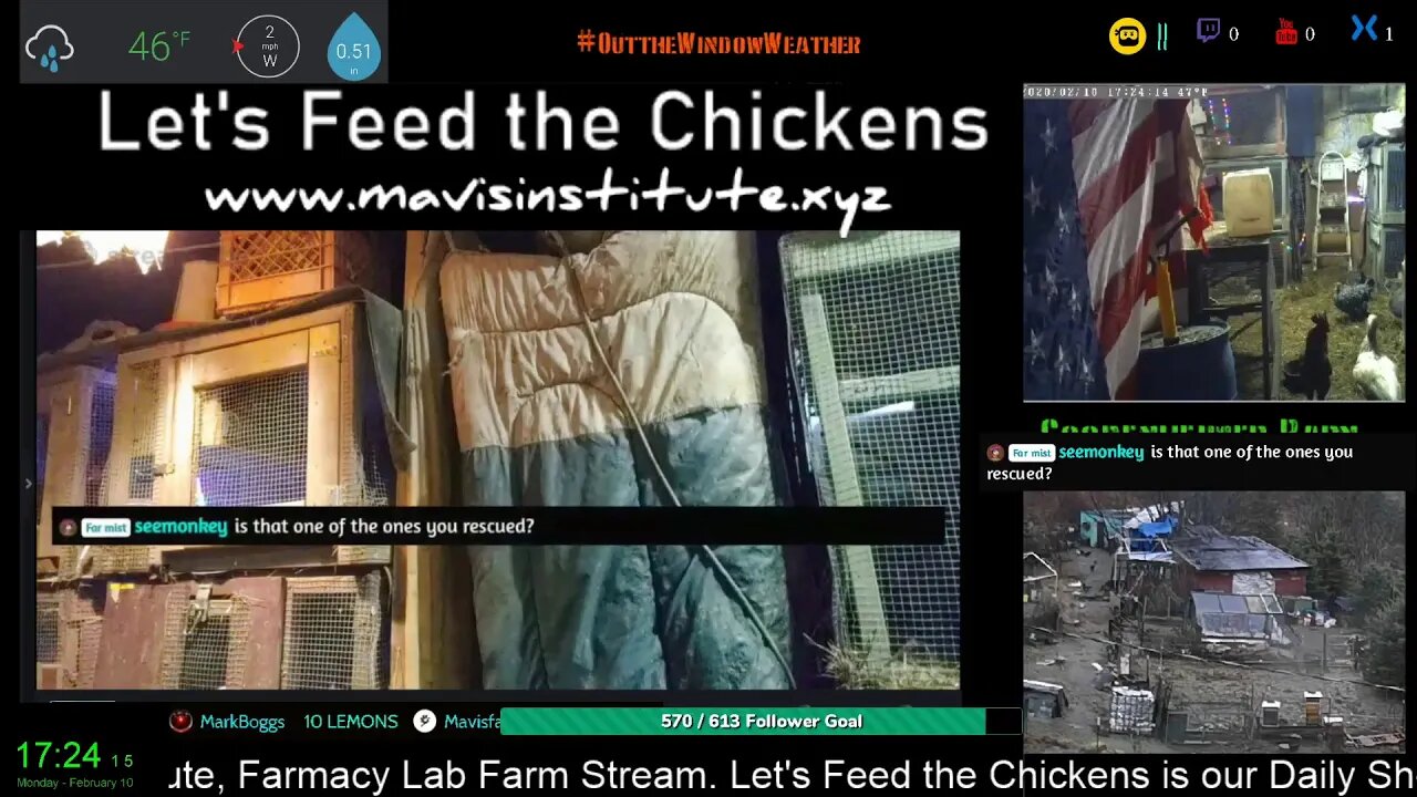 🐓🦆🐝🐇 +🎵 - FarmStream 9/9