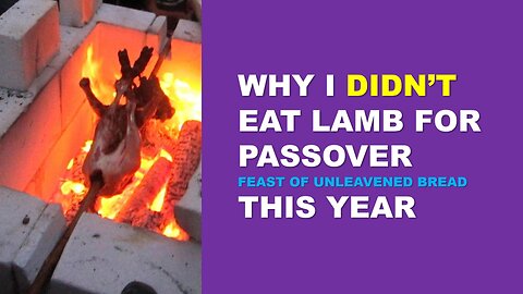 Pesach | The Reason I didn't eat Passover Lamb This Year . . . | Torah Menorah