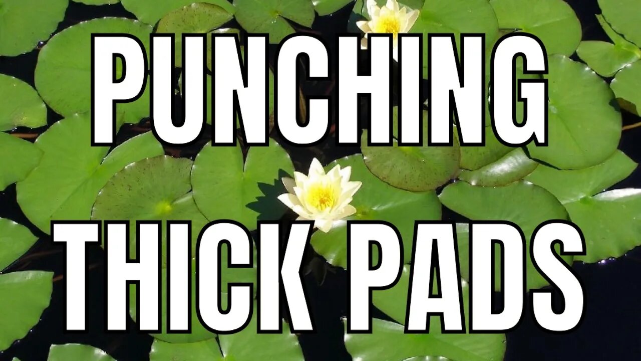 PUNCHING THICCCCCCCCCCCCCCCCCCCCCCCCCCCCCCCCCCCCCCCCCCCCCC PADS