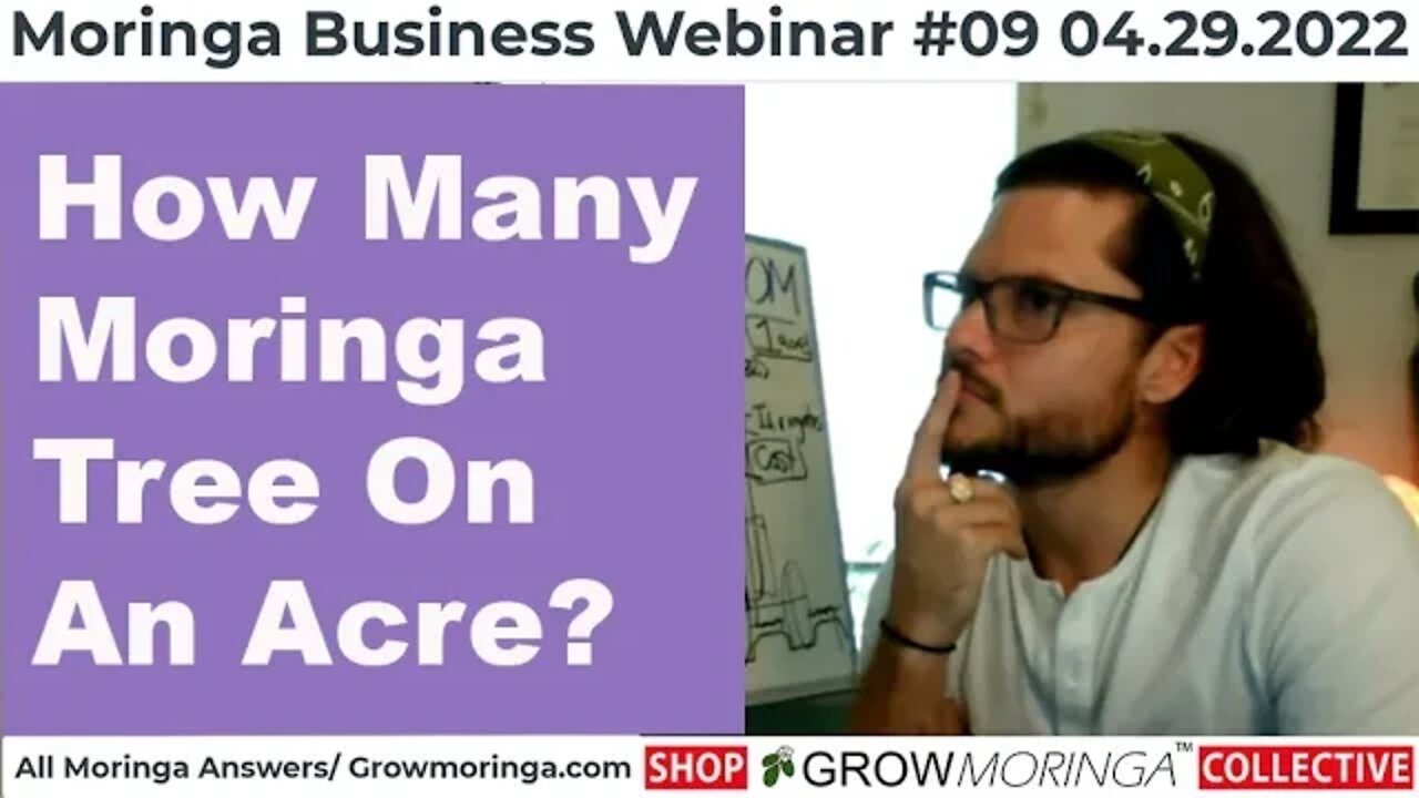 How Many Moringa Trees On An Acre?