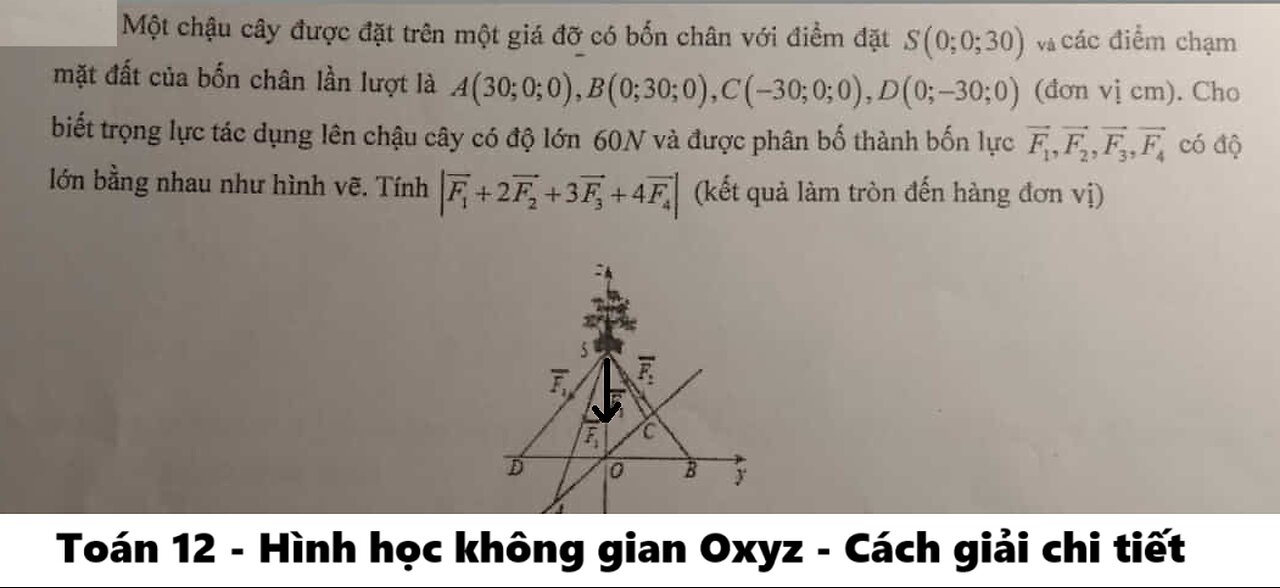 Toán 12: Một chậu cây được đặt trên một giá đỡ có bốn chân với điểm đặt S(0;0;30) và các điểm chạm
