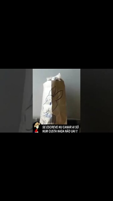 Cat Empacotado - Advinha que é? .............................Errou!!!!! #shorts