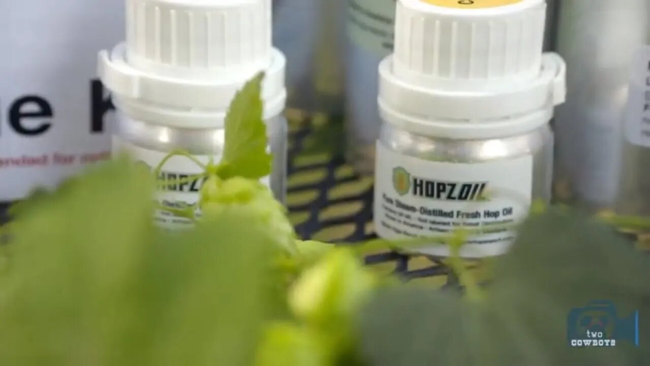 HopZOil 2020 - The Opportunity Grows to Expose the World to Fresh Hop Flavour