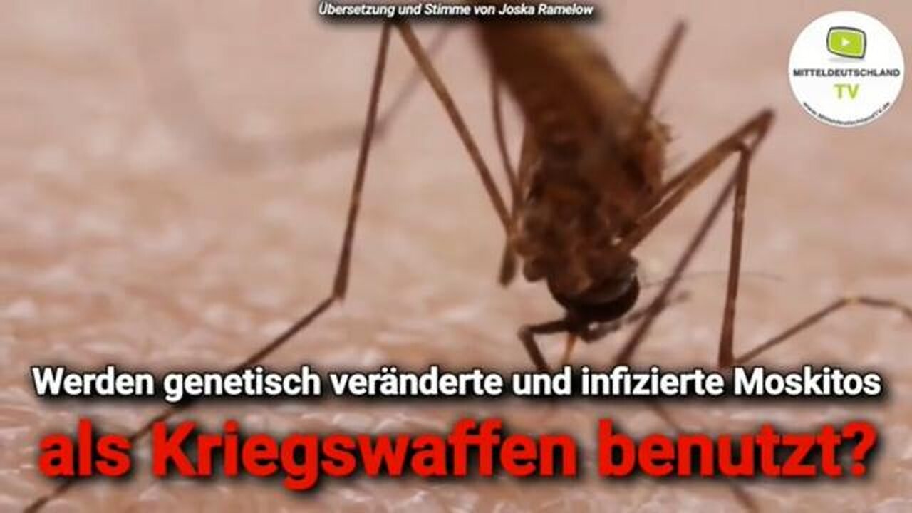 Moskitos als Kriegswaffen