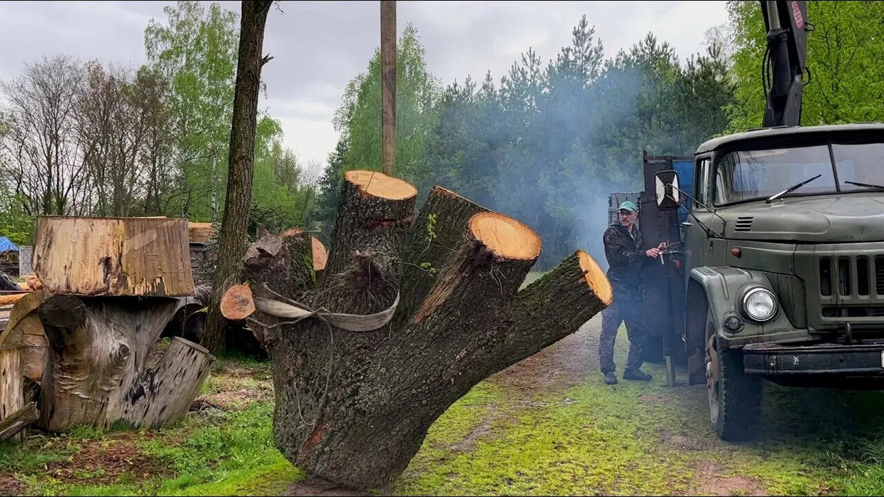 What do these mysterious logs hide?