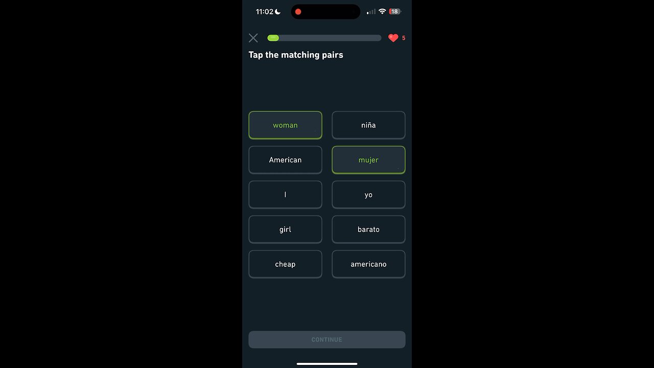 Duolingo Lesson