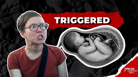 How do I respond to someone emotional about abortion?