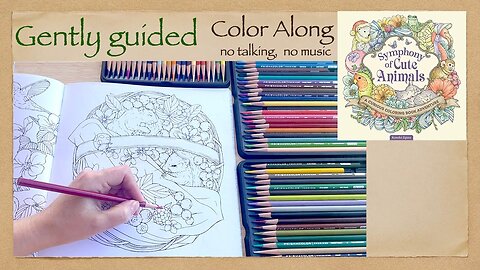 Gently Guided Calming Coloring Along "Symphony of Cute Animals" by Kanoko Egusa, no talking ASM