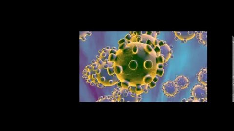 Coronavirus Hits The U.S.