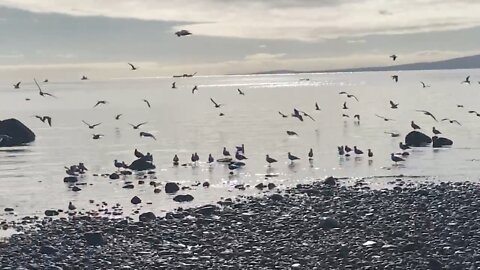 Overwhelming鋪天蓋地