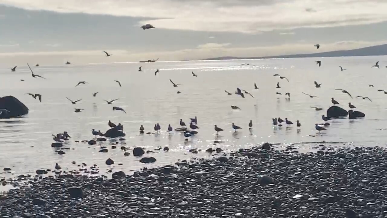 Overwhelming鋪天蓋地