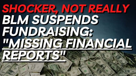 BLM Suspends Fundraising Due To Missing Financial Reports. Shocker.....no one said.