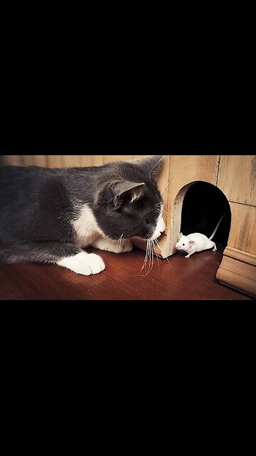 Hhhhhhhhhh Very Amazing |بسیار جالب است هههههه