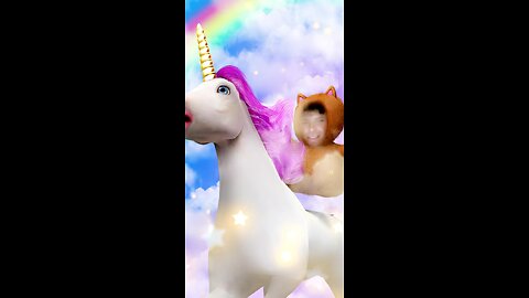 Riding On A Unicorn-Jordan