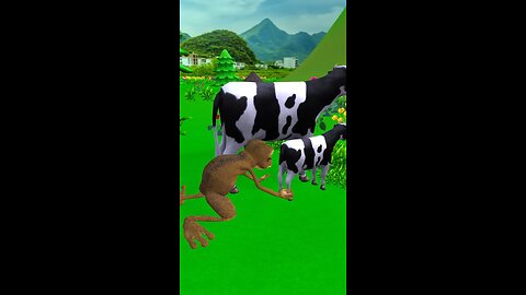animals funny video 😂😂