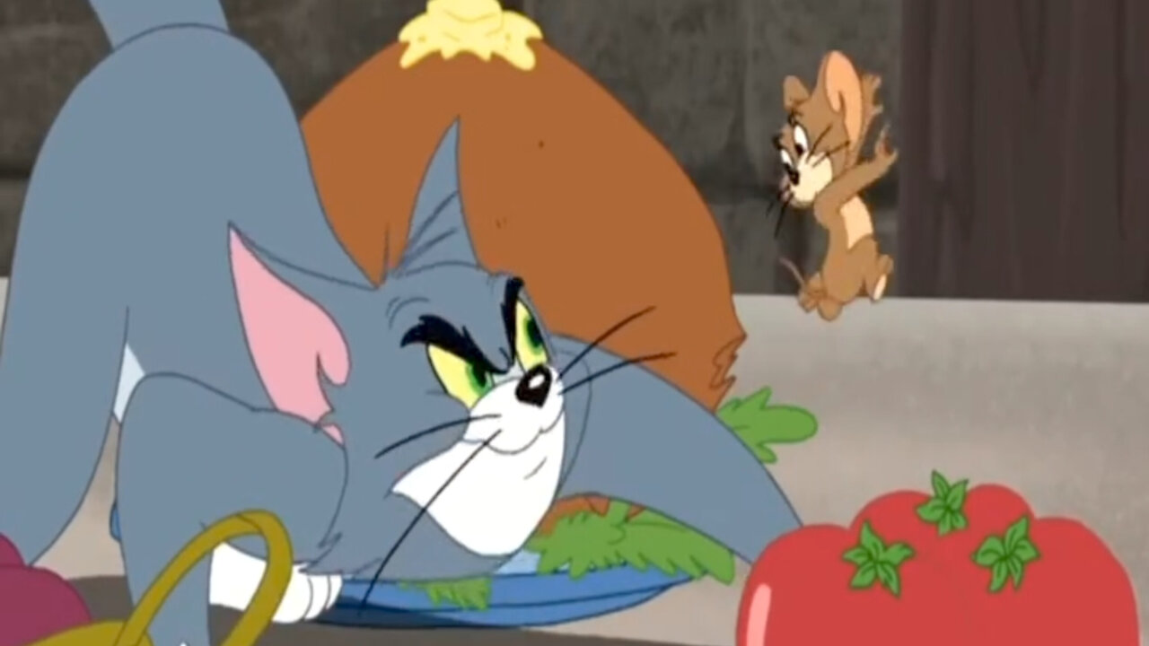 Tom and jerry cartoon