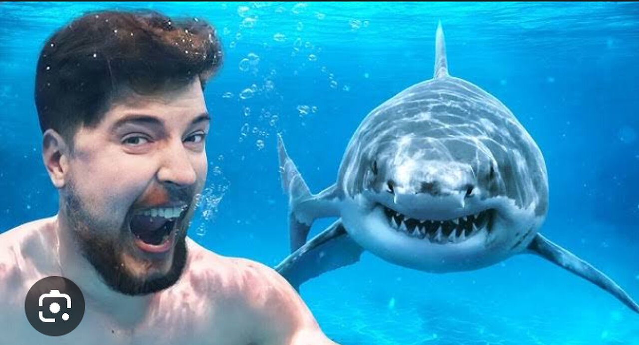 Would You Swim With Sharks For $100,000 ??