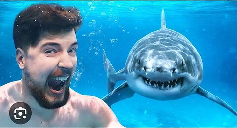 Would You Swim With Sharks For $100,000 ??