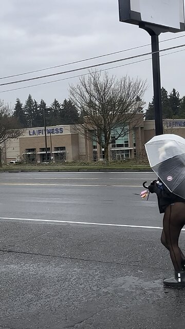 Lizards on the blade Aurora ave