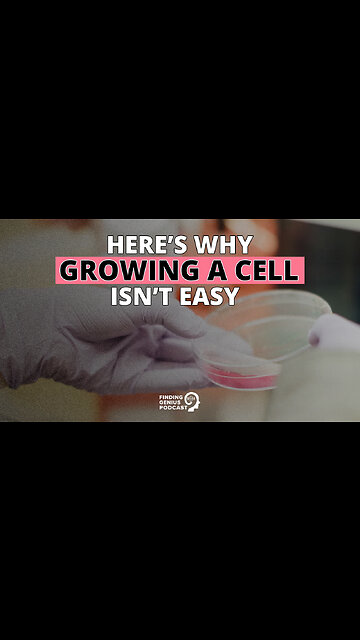 Here’s Why Growing a Cell Isn’t Easy