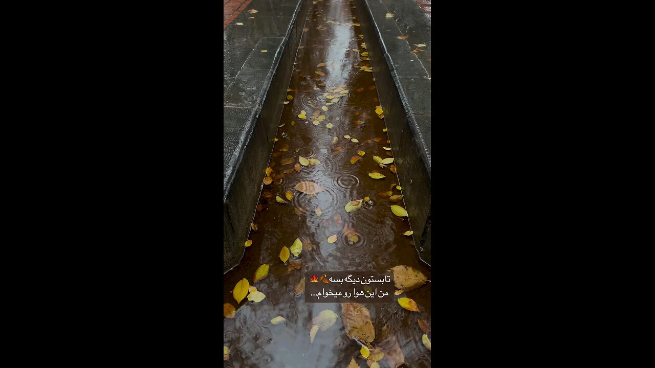 Do you like heat or rain?
